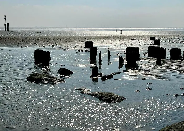 Monopol 106 アパート